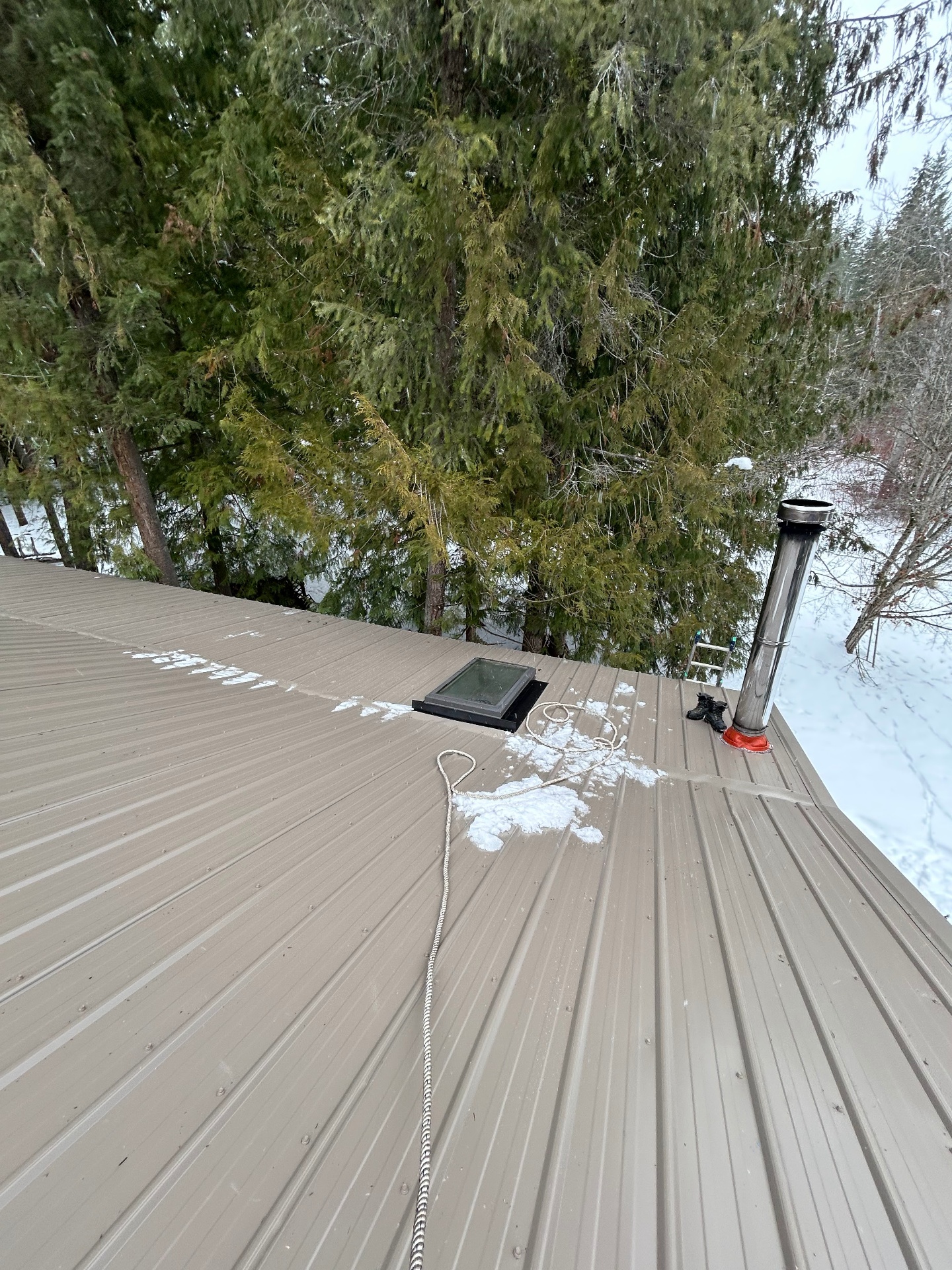 Roof replacement with skylight near Osoyoos